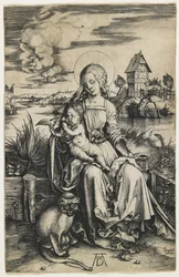 Jungfrau und Kind mit dem Affen, ca. 1498