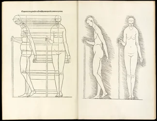 Frau mit Stab, anatomischer Holzschnitt aus Hierinn sind begriffen vier Bücher von menschlicher Proportion, 1528