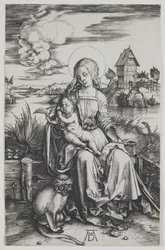 Madonna mit dem Affen, um 1498