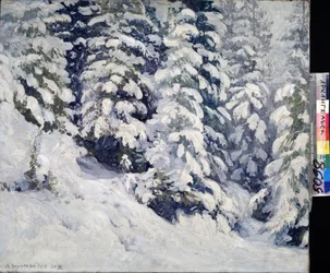 Wald im Winter
