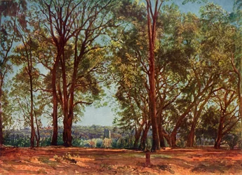 Im Aricci Park, 1830er, 1965