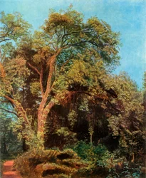 Baum im Park, Mitte des 19. Jahrhunderts, 1965