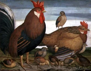 Hahn, Henne und Küken