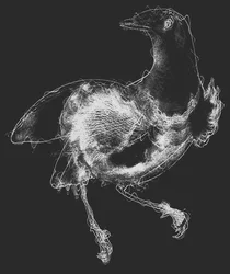 Vogel III