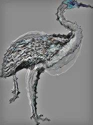 Vogel I, 2020