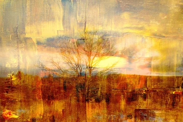 Goldener Nebel, 2019