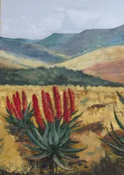 Rote Aloe-Hügel