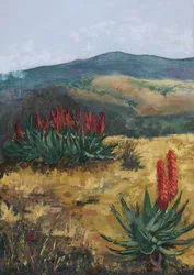 Rote Aloe-Wüstenhügel