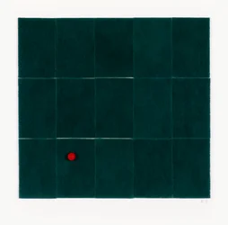 Küchenschwämme (eins)