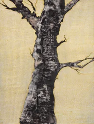 Auffälliger kahler Baum