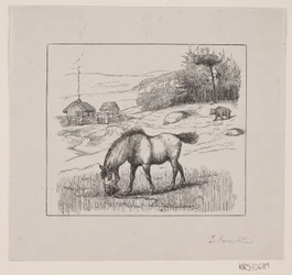 Nordbakke