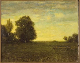 Eine Wiese mit Bäumen