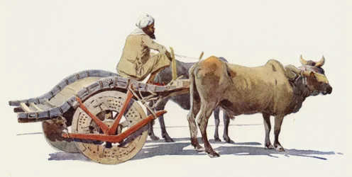 Ein Ochsenkarren, Jodhpur