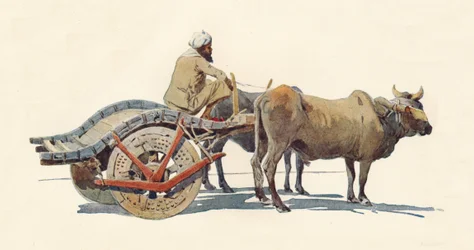 Ein Ochsenkarren, Jodhpur, um 1880 1905