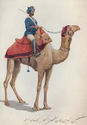 Ein Kamel-Sowar der 10. Bengal Lancers, c1880 1905