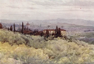 Florenz vom Olivengarten von San Domenico