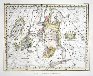 Die Sternbilder (Tafel VIII) Coronoa Borealis, Herkules und Cerberus, Lyra, aus 