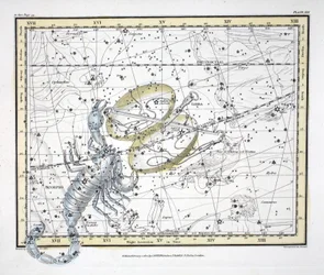Die Sternbilder (Tafel XIX) Waage und Skorpion, aus 