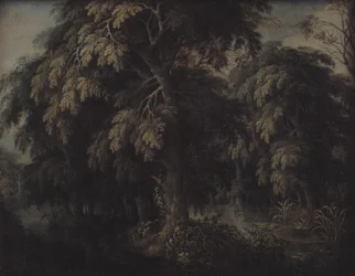Waldlandschaft