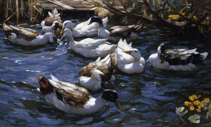 Enten im Schilf unter den Zweigen
