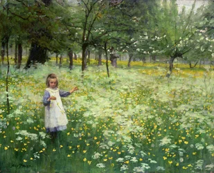 Silber und Gold auflesen, 1906
