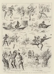 Eine Schmetterlingsjagd, die Abenteuer eines Entomologen in Afrika