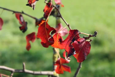 Herbstfarben