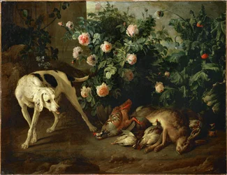 Hund bewacht Wild in der Nähe eines Rosenstrauchs
