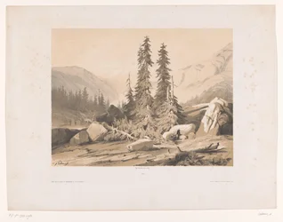 Berglandschaft mit Tannen und Bergziegen