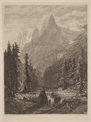 Bergwiese