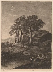Bäume bei einem Felsen