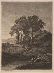 Bäume an einem Felsen