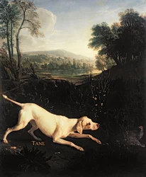 Der Hund Ludwigs XIV., Tane