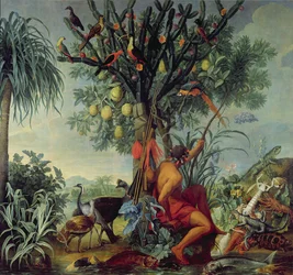Der indianische Jäger, 1740