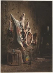 Kadaver, 1840-1860