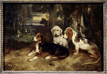 Jagdhunde in Ruhe
