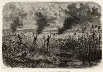 Der Bongo-Stamm jagt die Ratte aus den Schilfrohren (für Naturforscher: Aulacode), sobald der Ort, an dem die Nagetiere leben, entdeckt wird, wird das trockene Gras um ihre Hütte herum angezündet, bis die Ratten, gezwungen zu fliehen, sich den Jägern präse