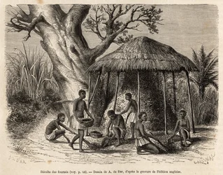 Die Sammlung der Ameisen, ein Strohdach wird über der Ameise errichtet, die Flügel fliegen weg und prallen gegen dieses Dach, betäubt werden sie dann gefegt und in großen Körben gesammelt, um gebraten verzehrt zu werden, geätzt nach einer Zeichnung von A. 