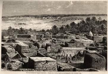 Blick auf die Terrassen von Tougourt (Oued Rir)