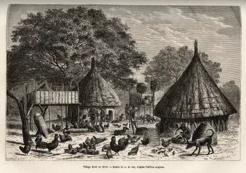 Dorf Diour im Winter (Sudan) und tägliche Aktivitäten der Bewohner inmitten von Tieren, die von der Gemeinschaft aufgezogen werden, Gravur nach der Zeichnung von A. de Bar, zur Illustration der Reise ins Herz Afrikas 1868-1871, von Dr. Georges Schweinfurt.