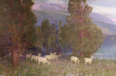 Früher Morgen auf dem Monte Mottarone, Lago Maggiore