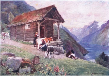 Eine Saeter