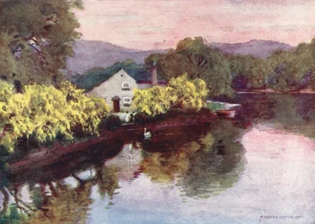 Lake District: Alte Goldregen an der Newby Bridge, Windermere