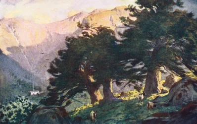 Lake District: Die Borrowdale Eiben, Abend