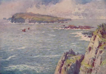 Das Kalb von Man, 1910