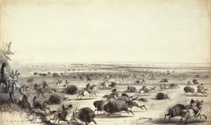 Eine „Umzingelung“ von Büffeln durch Indianer, ca. 1858