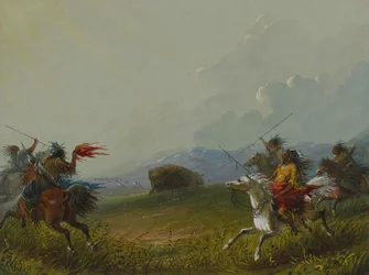 Büffel in Bedrängnis