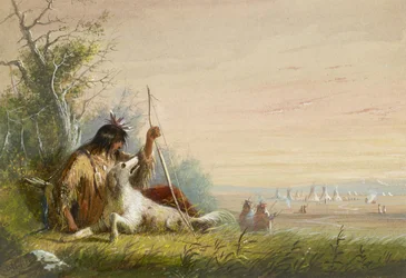 Indianischer Läufer