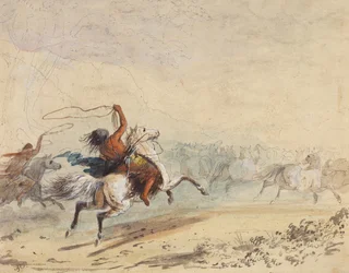 Wildpferde einfangen, ca. 1837