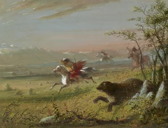 Der Grizzlybär